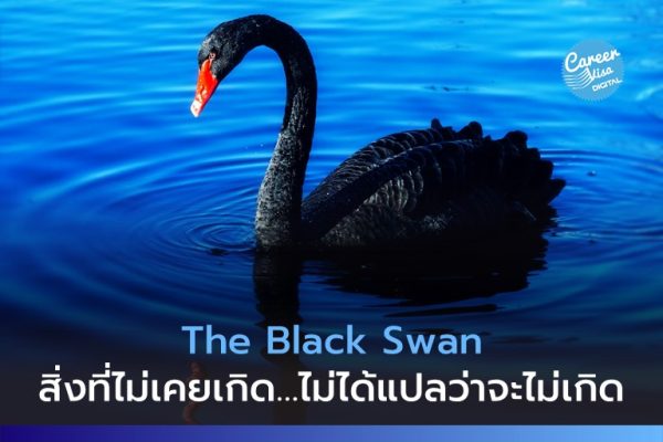 The Black Swan: สิ่งที่ไม่เคยเจอ… ไม่ได้แปลว่าจะไม่เจอ | Careervisa  Assessment